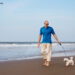 best Dog Friendly Beaches in Florida