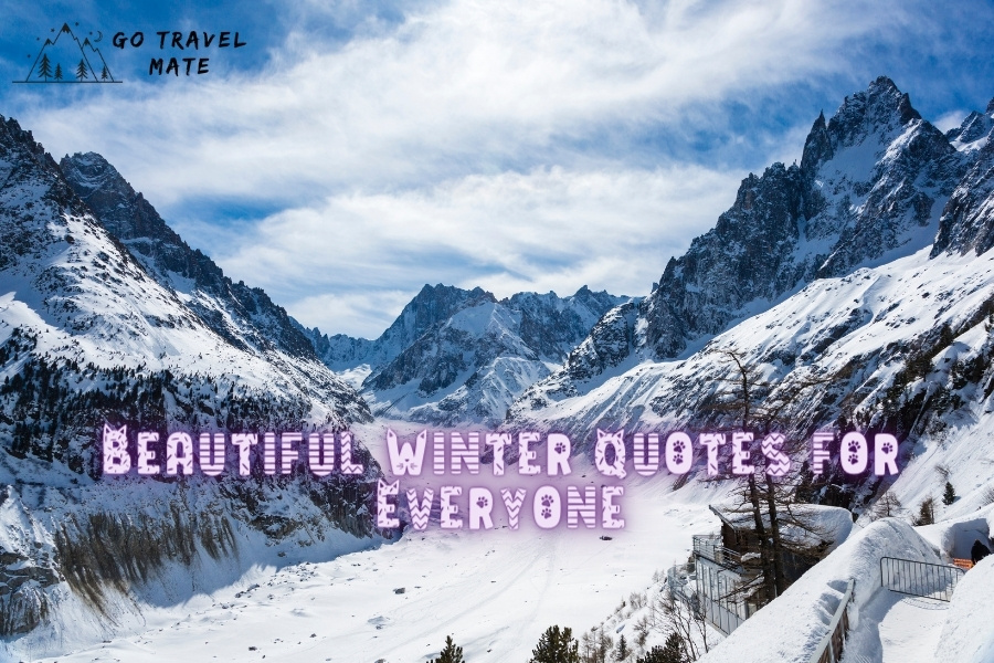 15 Beautiful Winter Quotes for Everyone