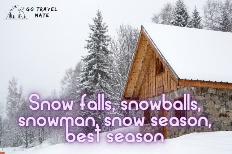 Winter Quotes: Snow falls, snowballs, snowman, snow season, best season